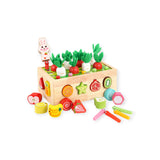 Garden Shape Sorting Set